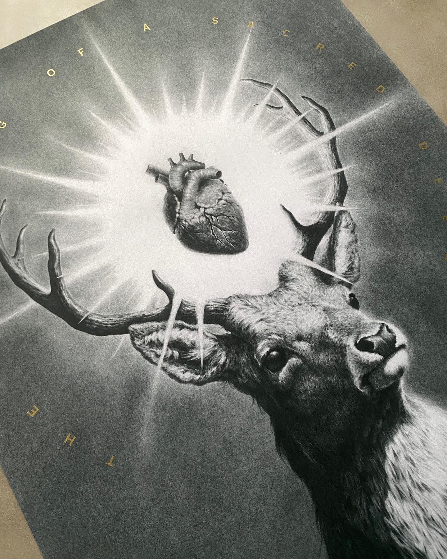 mondo-a24-vacvvm-collab-